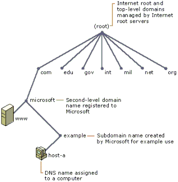Int�gration de l'espace de noms DNS d'Internet par Microsoft